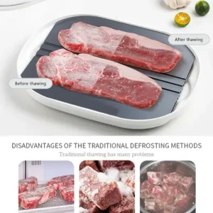 Smart Quick Defrosting Box Machine