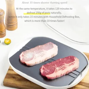 Smart Quick Defrosting Box Machine