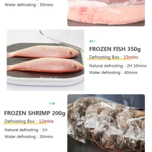 Smart Quick Defrosting Box Machine