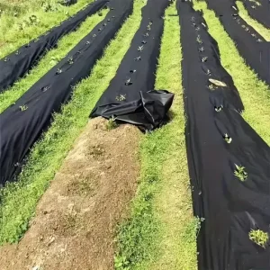 Garden Ground Cover Long-Lasting Anti-Grass Fabric