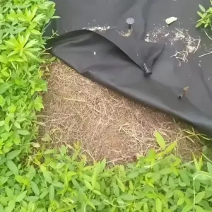 Garden Ground Cover Long-Lasting Anti-Grass Fabric