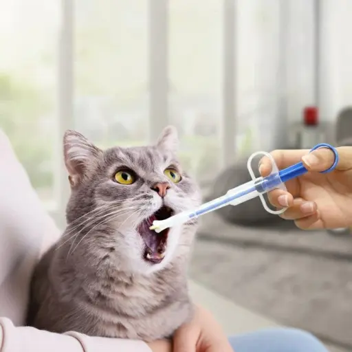 Easy Pet Medicine Feeding Syringe