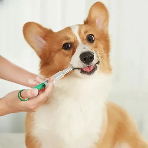 Easy Pet Medicine Feeding Syringe