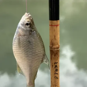 Handmade Hook Portable Fishing Rod Set