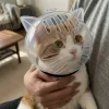 Bubble Cone Transparent Cat Recovery Groom Helmet