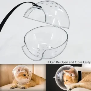 Bubble Cone Transparent Cat Recovery Groom Helmet