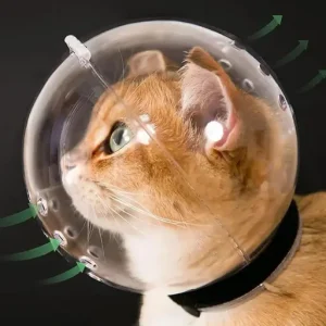 Bubble Cone Transparent Cat Recovery Groom Helmet