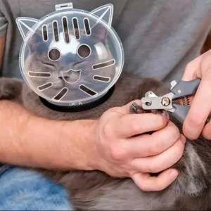 Bubble Cone Transparent Cat Recovery Groom Helmet