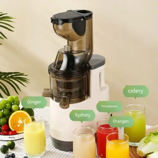 Electric Masticating Quick Vitamins Juicer Machine