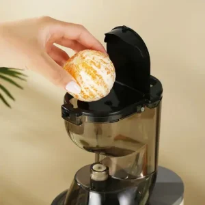 Electric Masticating Quick Vitamins Juicer Machine