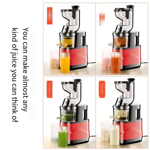 Electric Masticating Quick Vitamins Juicer Machine