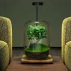 Micro Landscape Green Oasis Glass Vase