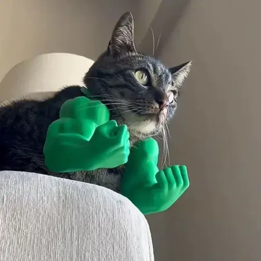 Body Builder Neck Hanging Pet Toy