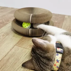 Cat Scratching Board - Cat Toy Magic Foldable Scratching Cardboard